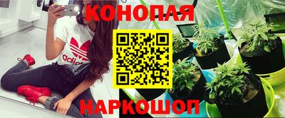 мяу мяу мука Камышлов