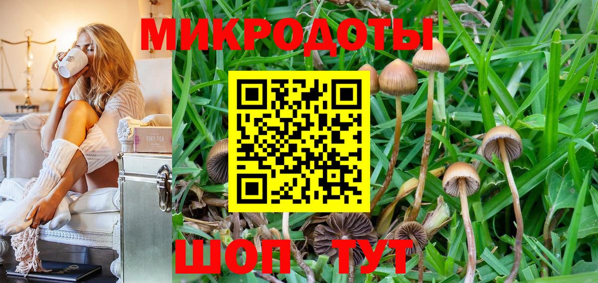 Галлюциногенные грибы ЛСД  Вход с VPN  Галлюциногенные грибы Cubensis  Кудымкар 